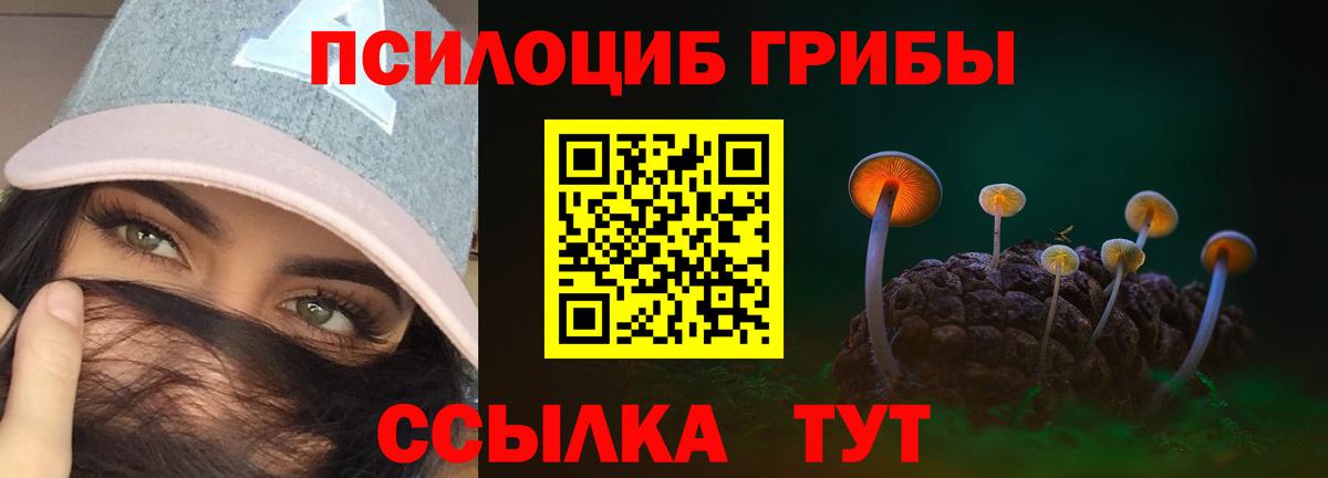 Калининград  Галлюциногенные грибы Psilocybe  дарнет шоп  Вход с VPN  Галлюциногенные грибы мухоморы 
