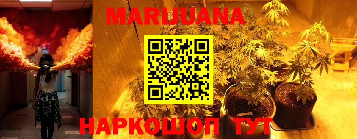 Марихуана OG Kush Калининград